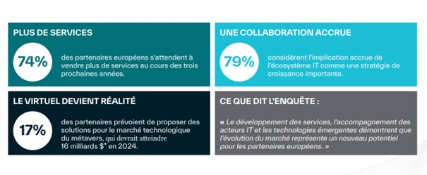 Infographie sur les partenaires de l'écosystème informatique
