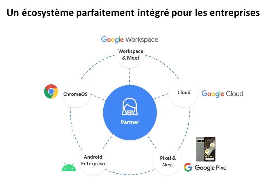écosystème google